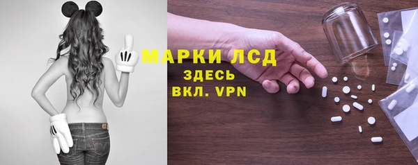 ГАЛЛЮЦИНОГЕННЫЕ ГРИБЫ Аркадак