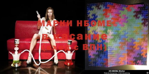 ГАЛЛЮЦИНОГЕННЫЕ ГРИБЫ Аркадак