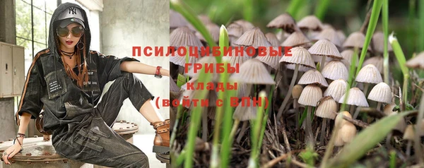 mdma Арсеньев