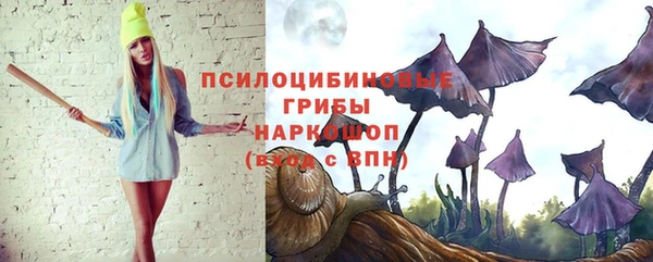 ГАЛЛЮЦИНОГЕННЫЕ ГРИБЫ Аркадак