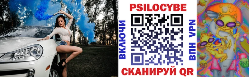 hydra вход  Венёв  Галлюциногенные грибы Psilocybine cubensis  купить  сайты 